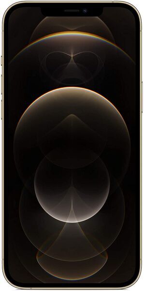 iPhone 12 Pro Max · gold